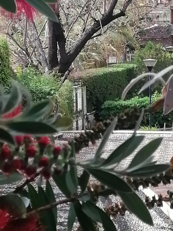 " Domus Coralla" Bnb Racconti Di Viaggio Катания Екстериор снимка